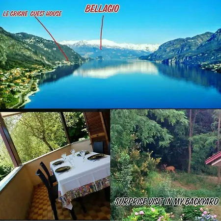 Apartment Le Grigne *