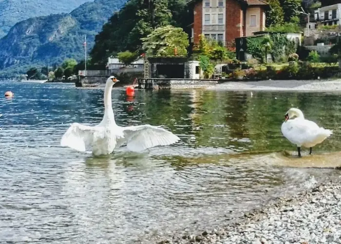 Le Grigne * Oliveto Lario