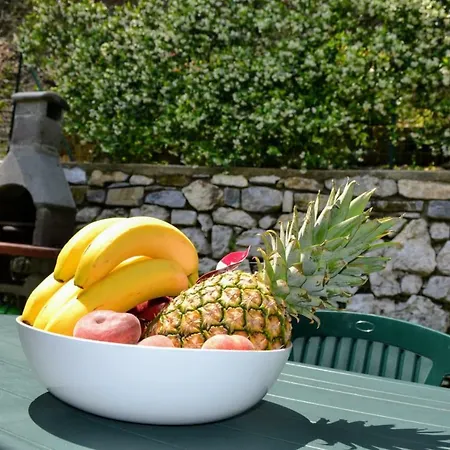 Le Grigne * Oliveto Lario