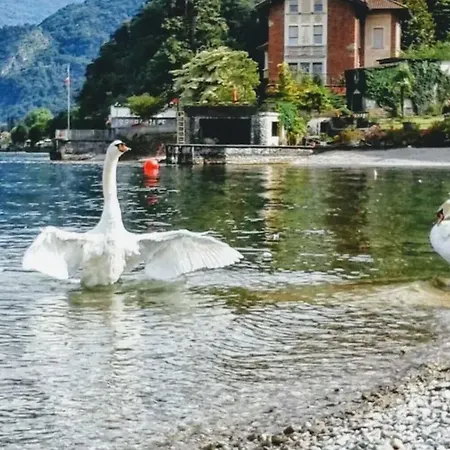 Le Grigne * Oliveto Lario